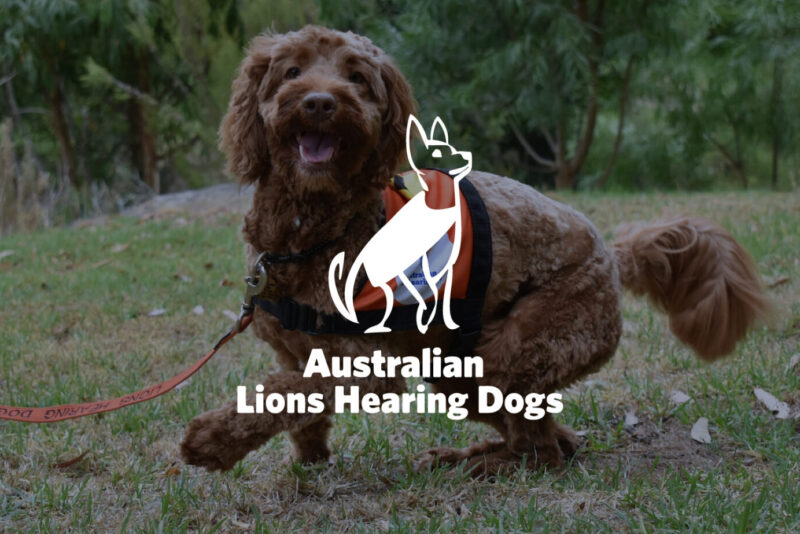 D365-australian lions hearing dogs-8